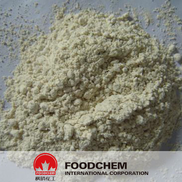 Dehydrated Horseradish Powder